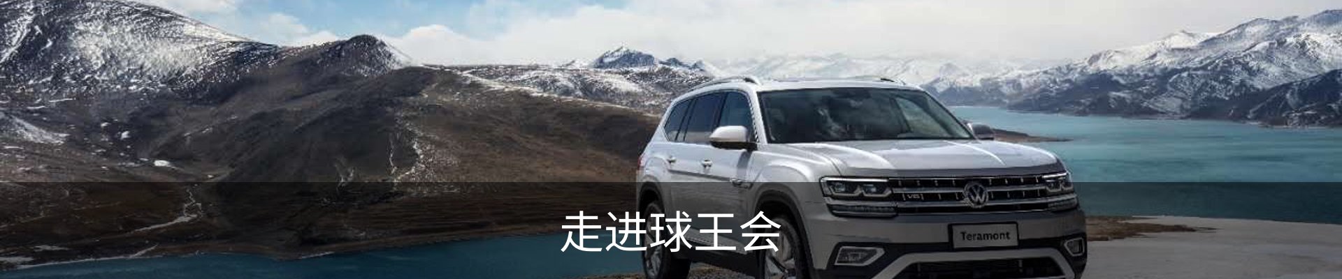 走进球王会